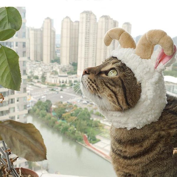 cat costumes plush warm pet headwear role play dressing up sheep horn hat for kitten winter costume funny party outfit accessories
cat costumes plush warm pet headwear role play dressing up sheep horn hat for kitten winter costume funny party outfit accessories