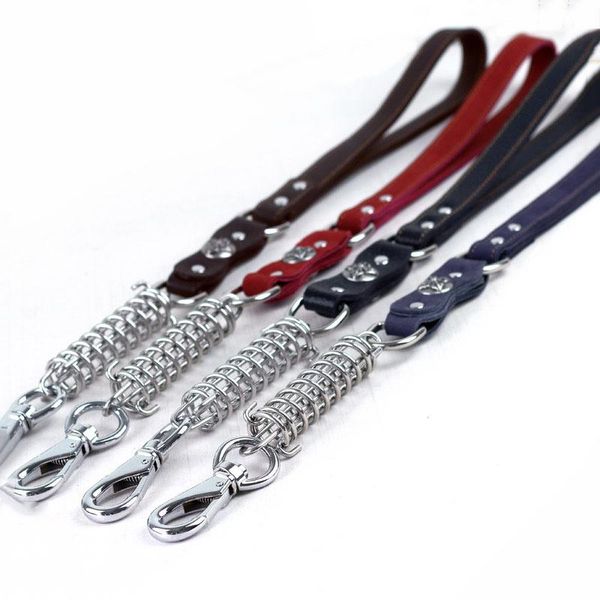 dog collars & leashes buffer spring explosion-proof punch leash genuine leather pet accessories for
dog collars & leashes buffer spring explosion-proof punch leash genuine leather pet accessories for