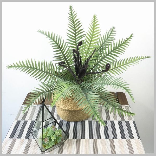 decorative flowers & wreaths simulation fern 50cm grass green plant artificial persian leaves wall hanging plants home party decoration acce
decorative flowers & wreaths simulation fern 50cm grass green plant artificial persian leaves wall hanging plants home party decoration acce