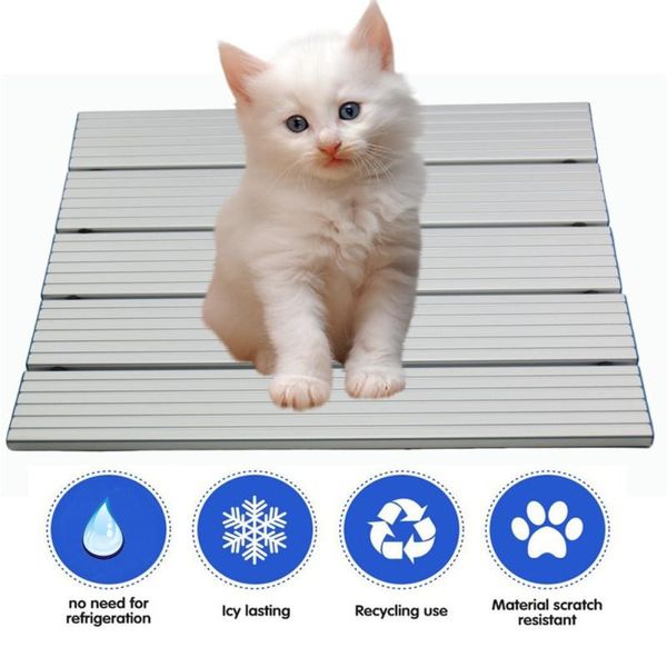 cat beds & furniture mat cushion summer cool cooling aluminum plate pet pad supplies
cat beds & furniture mat cushion summer cool cooling aluminum plate pet pad supplies