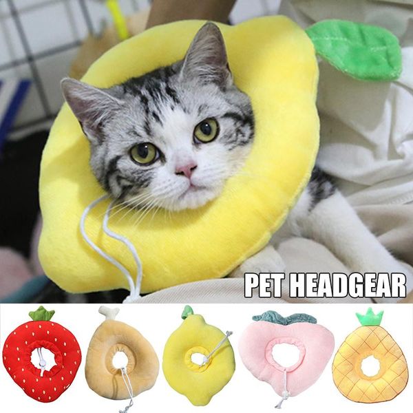cat collars & leads adjustable recovery collar cute cartton neck cones tools for kitten ud88
cat collars & leads adjustable recovery collar cute cartton neck cones tools for kitten ud88