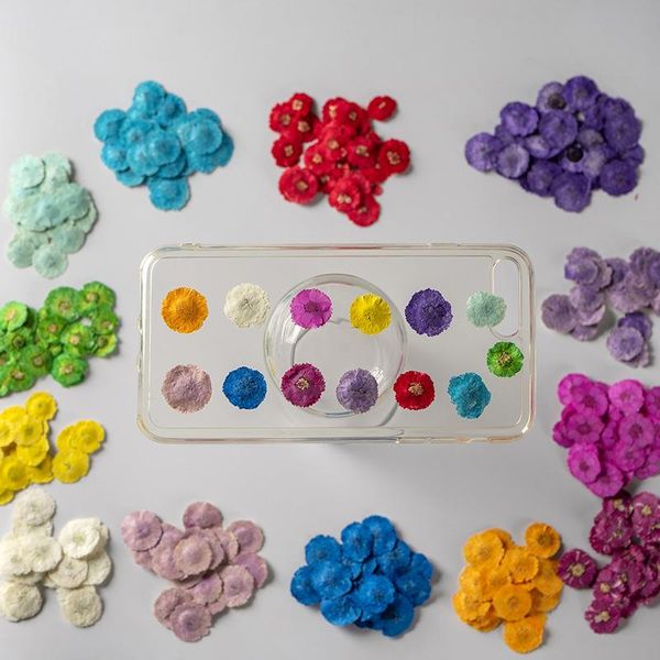 decorative flowers & wreaths 24pcs daisy dried flower bellis perennis pressed for resin jewelry diy crafts nails decor candle soap making sc
decorative flowers & wreaths 24pcs daisy dried flower bellis perennis pressed for resin jewelry diy crafts nails decor candle soap making sc