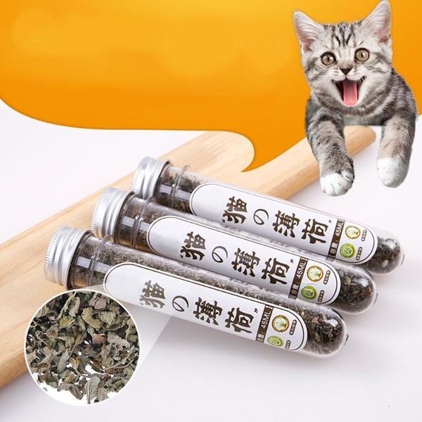 cat toys 45ml mint organic catnip flavor natural treats funny toy for kitten pet supplies
cat toys 45ml mint organic catnip flavor natural treats funny toy for kitten pet supplies