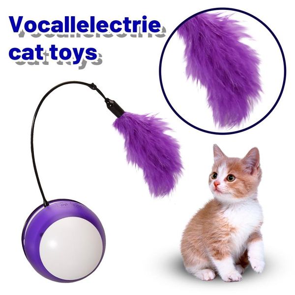 small animal supplies automatic electric rotating cat toy colorful butterfly bird shape funny pet dog kitten interactive training toys 2021
small animal supplies automatic electric rotating cat toy colorful butterfly bird shape funny pet dog kitten interactive training toys 2021