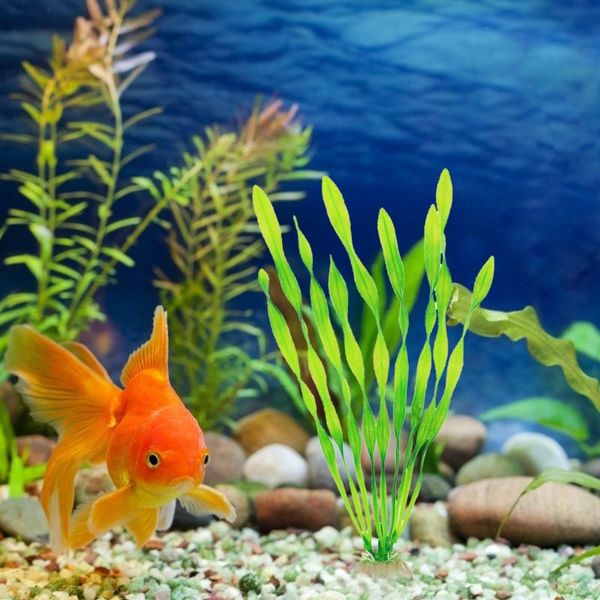 decorations 2-10pcs artificial underwater plants aquarium fish tank seaweed decoration green purple water grass viewing
decorations 2-10pcs artificial underwater plants aquarium fish tank seaweed decoration green purple water grass viewing