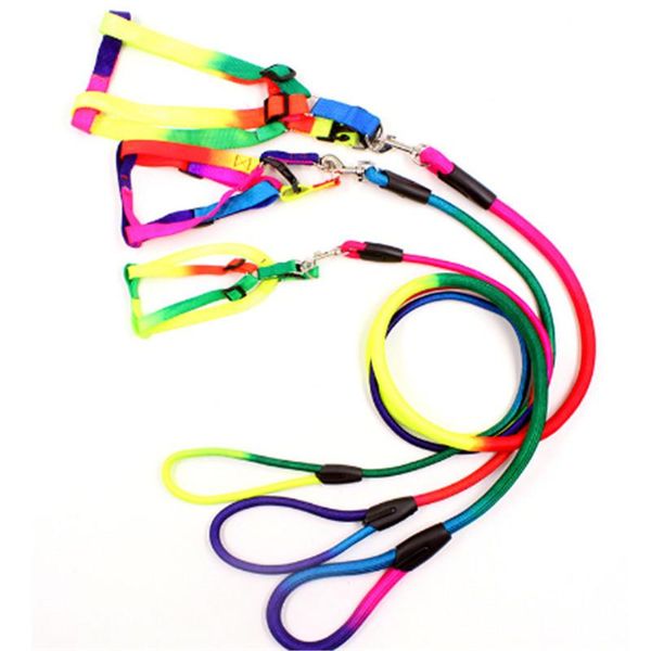 dog collars & leashes colorful rainbow leash adjustable harness set puppy cat walking rope lead running pet accessories collar
dog collars & leashes colorful rainbow leash adjustable harness set puppy cat walking rope lead running pet accessories collar
