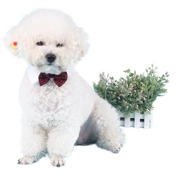 cats dogs wedding accessories puppy kitten bowknot collar christmas holiday pet decoration grooming supplies dog collars & leashes
cats dogs wedding accessories puppy kitten bowknot collar christmas holiday pet decoration grooming supplies dog collars & leashes