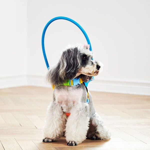 dog collars & leashes blind dogs pet safe harness anti-collision ring pets weak color guide circle animal protection collar rings
dog collars & leashes blind dogs pet safe harness anti-collision ring pets weak color guide circle animal protection collar rings