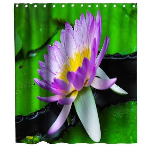 floral shower curtains flower plant kids theme cloth fabric bathroom decor sets with hooks waterproof washable purple and
floral shower curtains flower plant kids theme cloth fabric bathroom decor sets with hooks waterproof washable purple and
