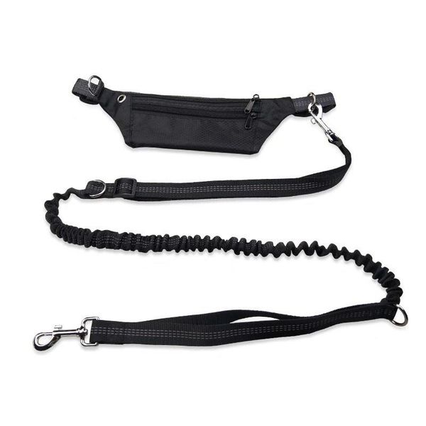 hands dog leash walk nylon lead rope running strap for small medium cat pet reflective adjustable strip waist belt bags collars & leash
hands dog leash walk nylon lead rope running strap for small medium cat pet reflective adjustable strip waist belt bags collars & leash