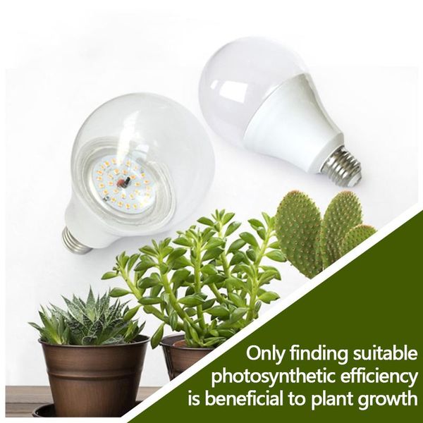 grow lights 12w 15w led growing lamps veg flower bloom plant natural light bulb full spectrum hydroponic lamp
grow lights 12w 15w led growing lamps veg flower bloom plant natural light bulb full spectrum hydroponic lamp