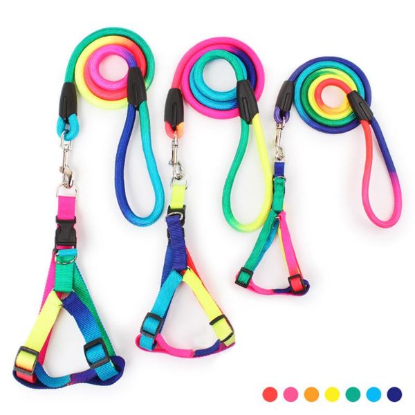 dog collars & leashes small dogs pet harness and leash set puppy nylon rainbow for chihuahua yorkie teddy pug walking lead
dog collars & leashes small dogs pet harness and leash set puppy nylon rainbow for chihuahua yorkie teddy pug walking lead