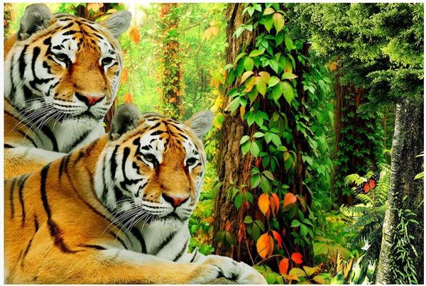 wallpapers custom po 3d wallpaper forest tiger jungle tv background living room home decor wall murals for walls 3 d
wallpapers custom po 3d wallpaper forest tiger jungle tv background living room home decor wall murals for walls 3 d