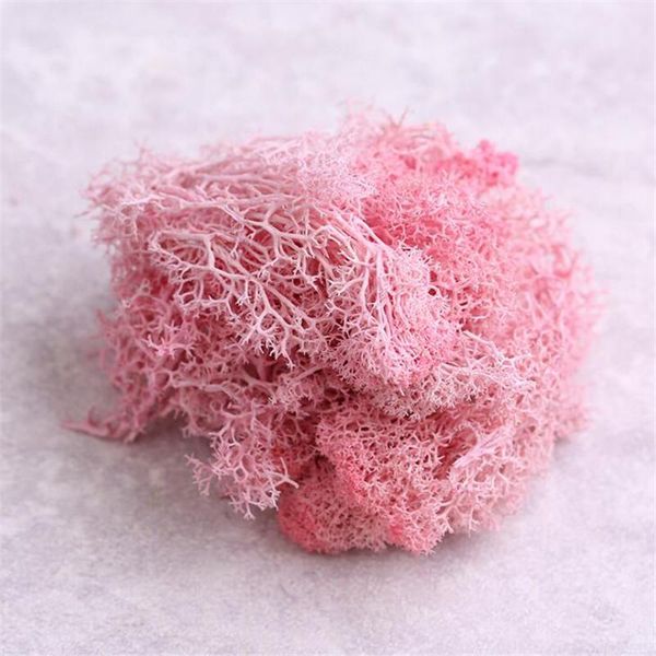 decorative flowers & wreaths 10g 100% natural dried eternal flower moss wedding party po props plant cafe library home decoration
decorative flowers & wreaths 10g 100% natural dried eternal flower moss wedding party po props plant cafe library home decoration