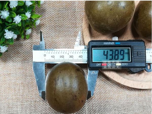 decorative flowers & wreaths luo han guo dried siraitia grosvenorii fruit/home party decor
decorative flowers & wreaths luo han guo dried siraitia grosvenorii fruit/home party decor