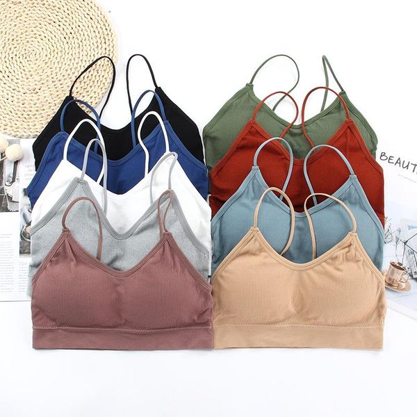 yoga fitness girls super soft fashion bra women cotton breathable running sport sujetador deportivo outfit
yoga fitness girls super soft fashion bra women cotton breathable running sport sujetador deportivo outfit