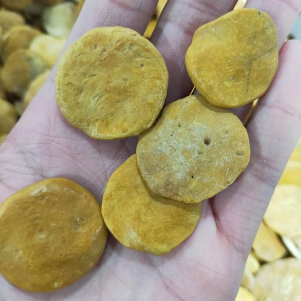 decorative objects & figurines rare beautiful natural fossil rough stone biscuits shape crystal healing specimen minerals home desk aquarium
decorative objects & figurines rare beautiful natural fossil rough stone biscuits shape crystal healing specimen minerals home desk aquarium