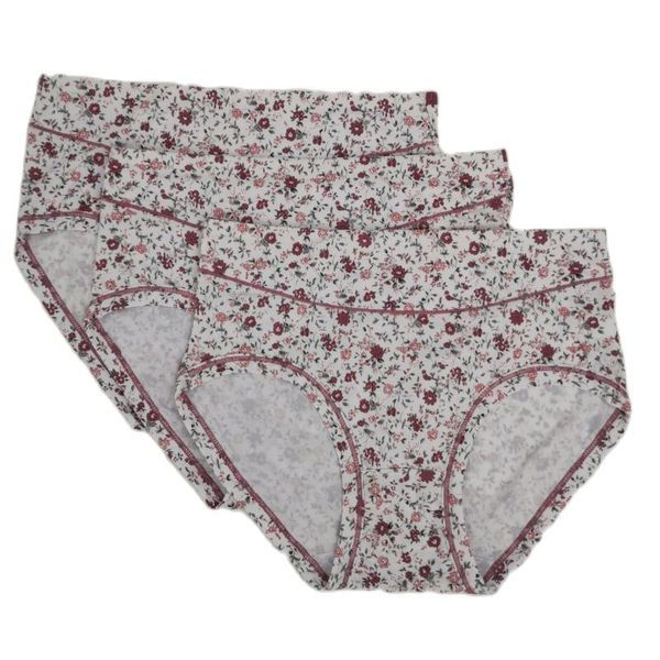 women's panties plus size cloth panty floral printing female pantys women briefs mid waist big woman panti 3pcs/lot, Black;pink
women's panties plus size cloth panty floral printing female pantys women briefs mid waist big woman panti 3pcs/lot, Black;pink