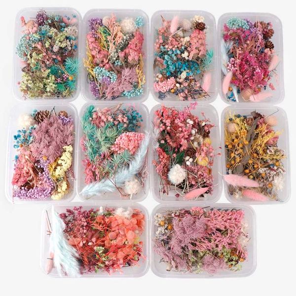 decorative flowers & wreaths 1 box nature dried flower dry plants for candle pendant jewelry scrapbooking diy handmade craft ac
decorative flowers & wreaths 1 box nature dried flower dry plants for candle pendant jewelry scrapbooking diy handmade craft ac