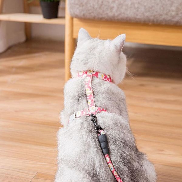 cat collars & leads cute pet dog harness leash set chest strap anti-break away walking rope for small dogs vest
cat collars & leads cute pet dog harness leash set chest strap anti-break away walking rope for small dogs vest