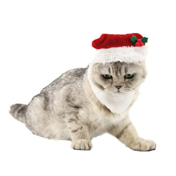 dog apparel soft santa claus christmas cap pet cat hat party perform decoration
dog apparel soft santa claus christmas cap pet cat hat party perform decoration