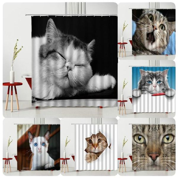 shower curtains animal pet cat curtain lovely creativity interesting waterproof bath polyester fabric bathroom decoration
shower curtains animal pet cat curtain lovely creativity interesting waterproof bath polyester fabric bathroom decoration