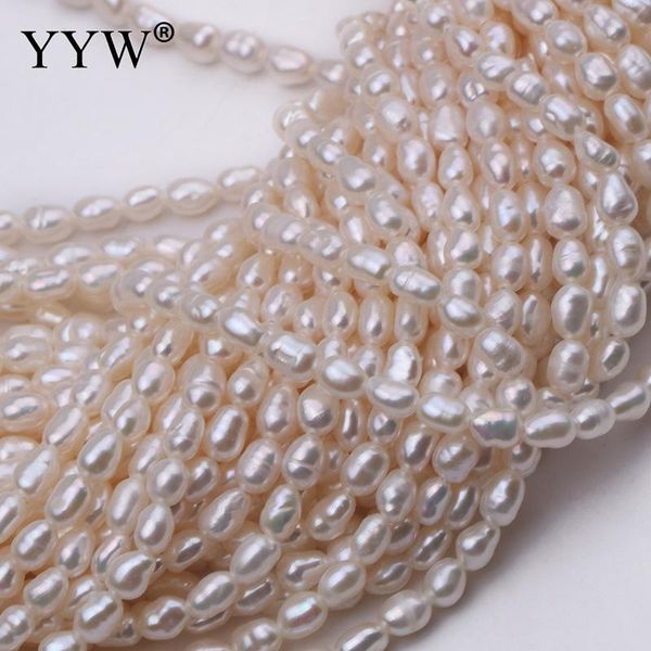other wholesale cultural millet shaped freshwater pearl bead ellipse polished strong light slightly flaw diy handmade jewelry 2.5-3mm
other wholesale cultural millet shaped freshwater pearl bead ellipse polished strong light slightly flaw diy handmade jewelry 2.5-3mm