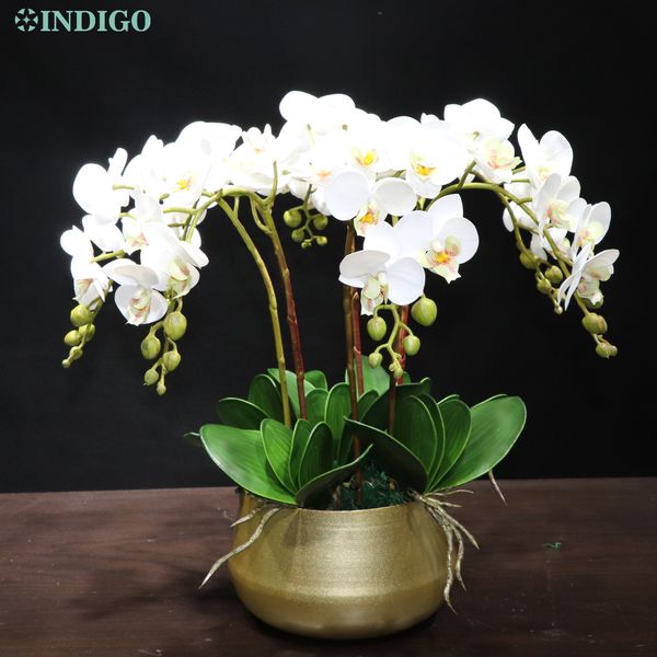 INDIGO- White Orchid (7pcs Orchid+5pcs eaves+Pot) DIY Fower Arrangment Rea Touch Fower Office Decoration Event Centerpiece
INDIGO- White Orchid (7pcs Orchid+5pcs eaves+Pot) DIY Fower Arrangment Rea Touch Fower Office Decoration Event Centerpiece