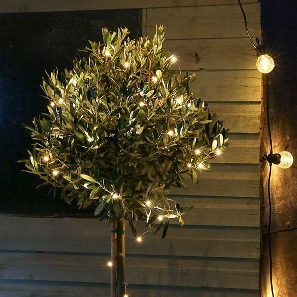 strings solar string lights outdoor warm white led waterproof decorative copper wire for party patio garden gate yard
strings solar string lights outdoor warm white led waterproof decorative copper wire for party patio garden gate yard