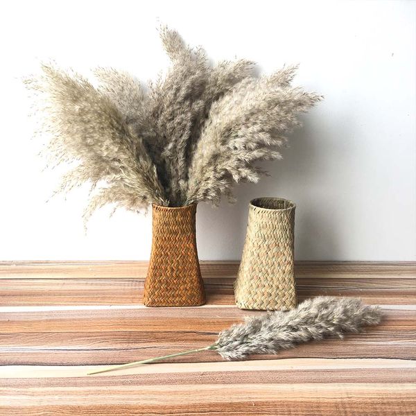 pampas grass with knitted basket burush coor home wedding decoration dried fowers natura dried bouquet dropshipping
pampas grass with knitted basket burush coor home wedding decoration dried fowers natura dried bouquet dropshipping