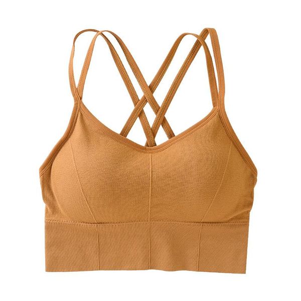 push up brassiere padded gym fitness bras crop women plain soft yoga workout sports bra with removable pads
push up brassiere padded gym fitness bras crop women plain soft yoga workout sports bra with removable pads