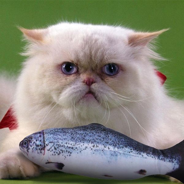 cat toys fish shape toy simulation set interactive pet playing soft plush 3d usb charge funny molar pet
cat toys fish shape toy simulation set interactive pet playing soft plush 3d usb charge funny molar pet