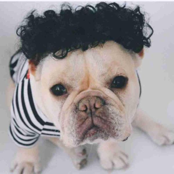 cat costumes funny dog wig pet clothing pography props party costume explosive head cosplay toy gifts supplies
cat costumes funny dog wig pet clothing pography props party costume explosive head cosplay toy gifts supplies