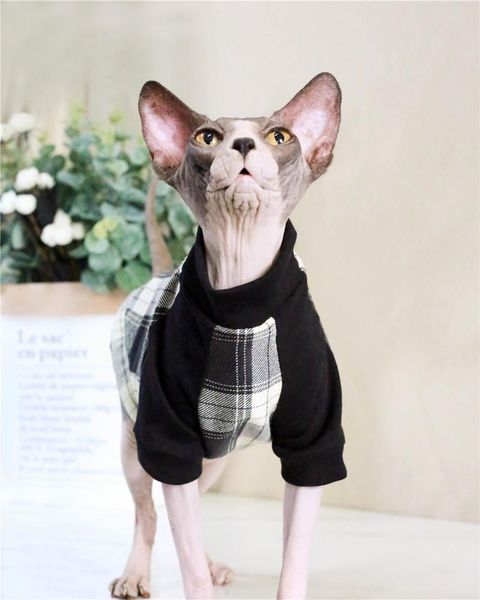 classic plaid cat clothes spring summer dresses stain resistant sphynx apparel hairless outfits costumes
classic plaid cat clothes spring summer dresses stain resistant sphynx apparel hairless outfits costumes