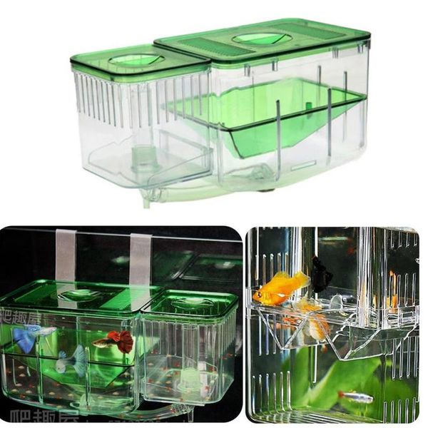 aquariums fish larvae separation box double-layer hatching for isolation fighting breeder
aquariums fish larvae separation box double-layer hatching for isolation fighting breeder