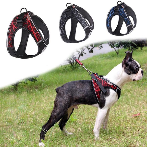 dog collars & leashes harness for small medium dogs no pull adjustable reflective pet vest collar jogging mesh clothes puppy cat strap
dog collars & leashes harness for small medium dogs no pull adjustable reflective pet vest collar jogging mesh clothes puppy cat strap