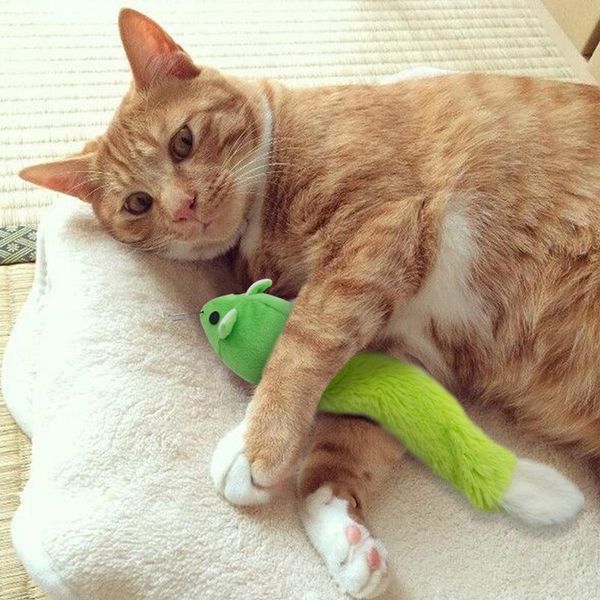 cat toys plush mouse with catnip accessories soft solid funny interactive pet kitten training predation cats products
cat toys plush mouse with catnip accessories soft solid funny interactive pet kitten training predation cats products
