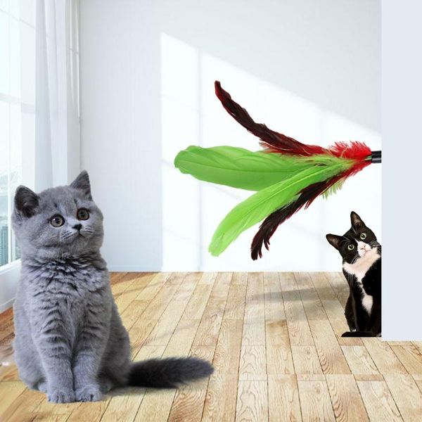 cat toys interactive toy stick feather wand with small bell mouse cage plastic artificial colorful teaser pet supplies
cat toys interactive toy stick feather wand with small bell mouse cage plastic artificial colorful teaser pet supplies