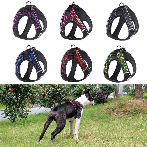 dog collars & leashes pet outdoor sport chest vest harness haulage rope reflective stability structure vests
dog collars & leashes pet outdoor sport chest vest harness haulage rope reflective stability structure vests