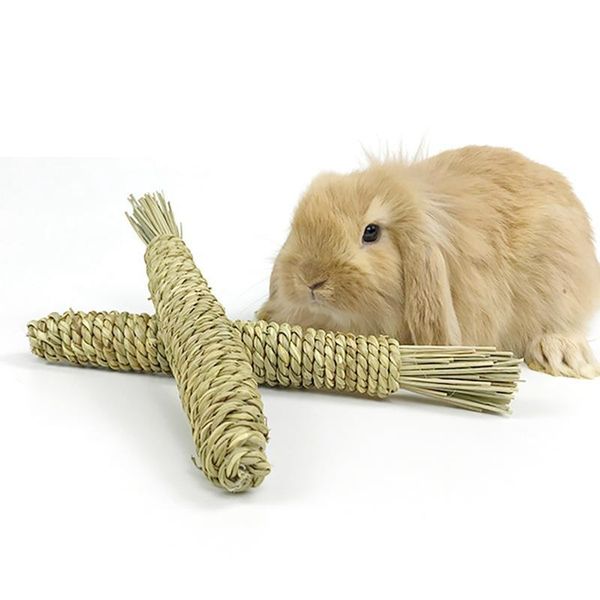 small animal supplies 1pcs chew toy interactive parrot teeth cleaning toys straw plaything for rabbits rats hamster accessories
small animal supplies 1pcs chew toy interactive parrot teeth cleaning toys straw plaything for rabbits rats hamster accessories