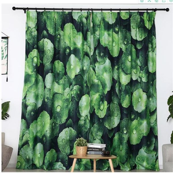 curtain & drapes 3d curtains custom simple modern green shading cloth hook thickening
curtain & drapes 3d curtains custom simple modern green shading cloth hook thickening