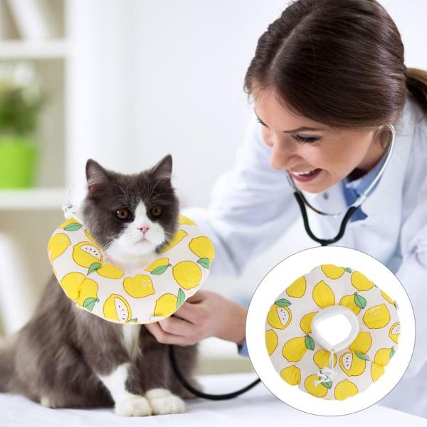 cat collars & leads pet kitten wound healing collar after recovery cone with drawstring
cat collars & leads pet kitten wound healing collar after recovery cone with drawstring