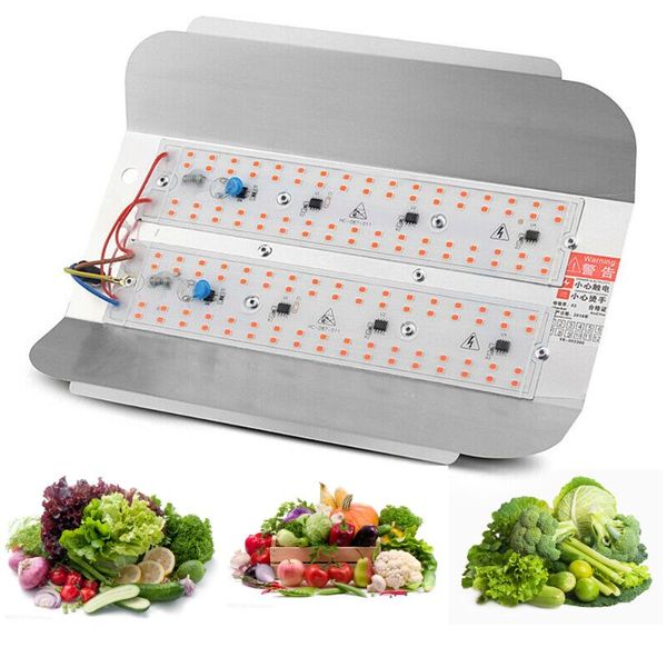 ip65 led grow light full spectrum hydroponic veg flower plant lamp lights 
ip65 led grow light full spectrum hydroponic veg flower plant lamp lights