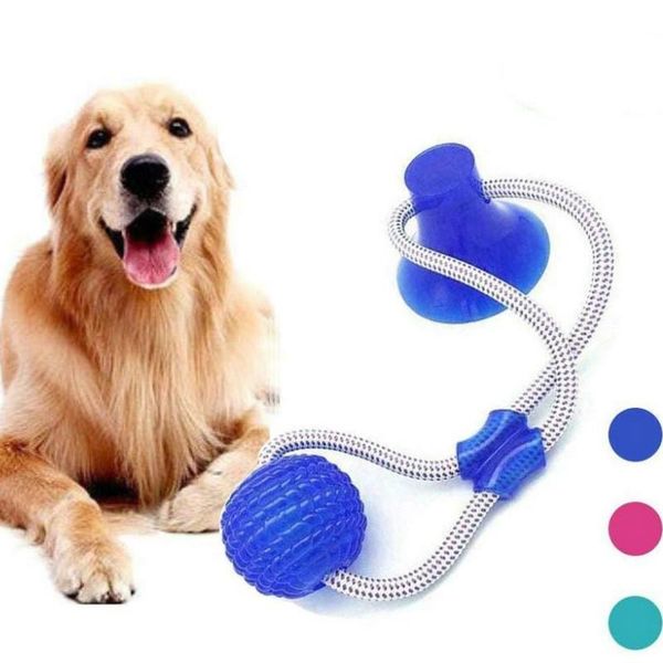 dog toys & chews pet intelligence bite resistant toy interactive sucker push tpr ball elastic rope teeth cleaning chewing molar
dog toys & chews pet intelligence bite resistant toy interactive sucker push tpr ball elastic rope teeth cleaning chewing molar