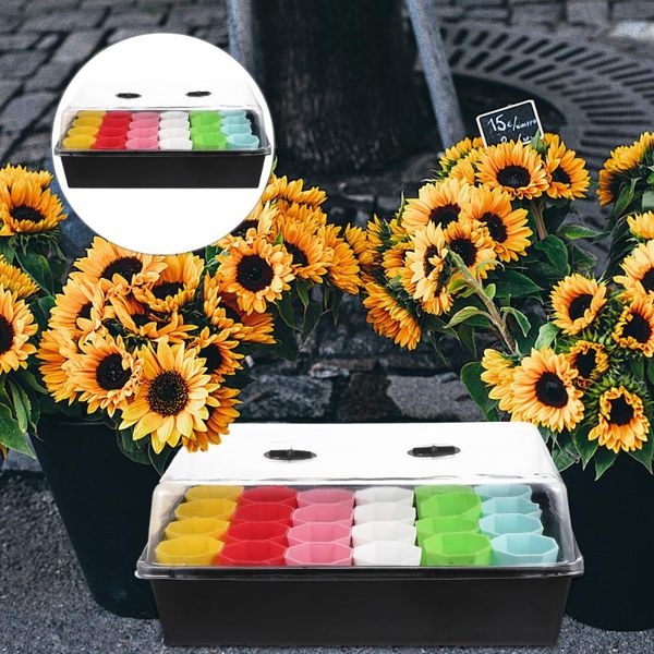 planters & pots 1 set seed starter tray propagator propagation kit
planters & pots 1 set seed starter tray propagator propagation kit