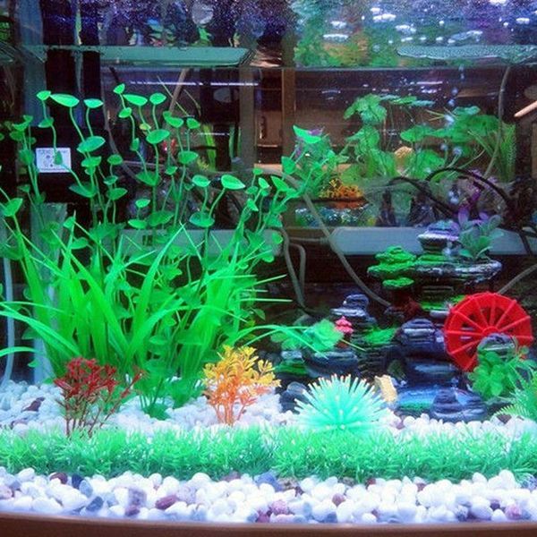 decorations artificial silicone coral plant aquarium ornament water landscape reef fish tank decoration accessories pet supplies
decorations artificial silicone coral plant aquarium ornament water landscape reef fish tank decoration accessories pet supplies