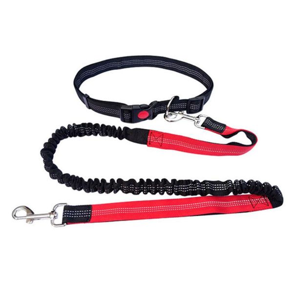elastic leash pet traction belt strap head collars dog 120/150/200/300cm rope durable nylon & leashes
elastic leash pet traction belt strap head collars dog 120/150/200/300cm rope durable nylon & leashes