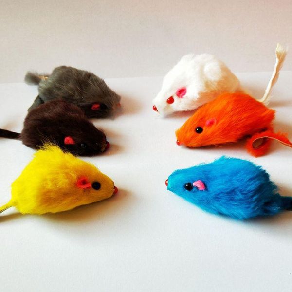 cat toys 20pcs entertainment training furry mice with catnip rattle sound made of real fur pet toy mouse
cat toys 20pcs entertainment training furry mice with catnip rattle sound made of real fur pet toy mouse