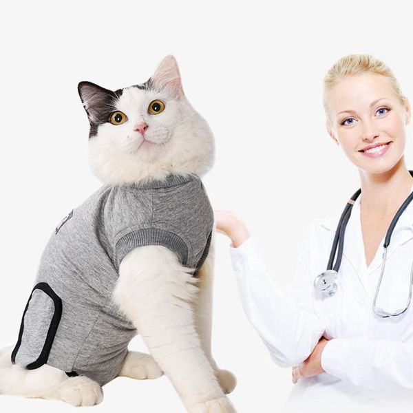 cat costumes elastic recover suit harnessafter sterilization anti-licking pet care clothes breathable cats weaning vest
cat costumes elastic recover suit harnessafter sterilization anti-licking pet care clothes breathable cats weaning vest