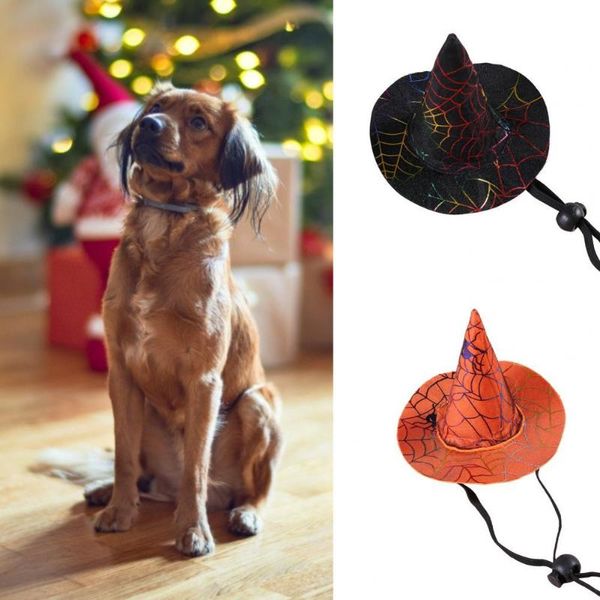 cat costumes headwear wearable dog halloween witch hat fashion decorative clothing accessories
cat costumes headwear wearable dog halloween witch hat fashion decorative clothing accessories